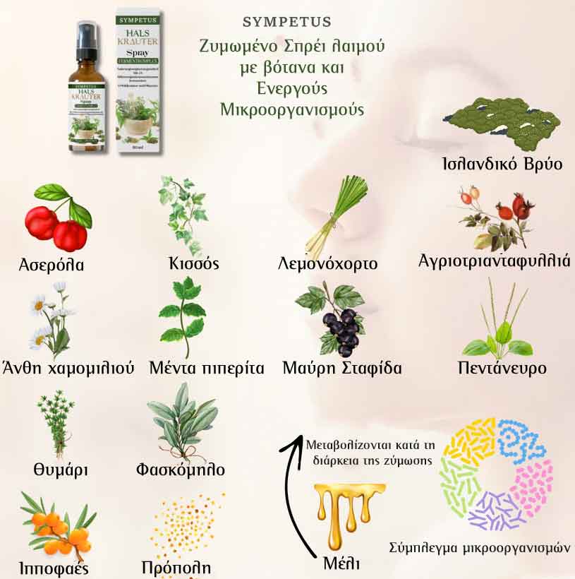 Ανώνυμο 2 1