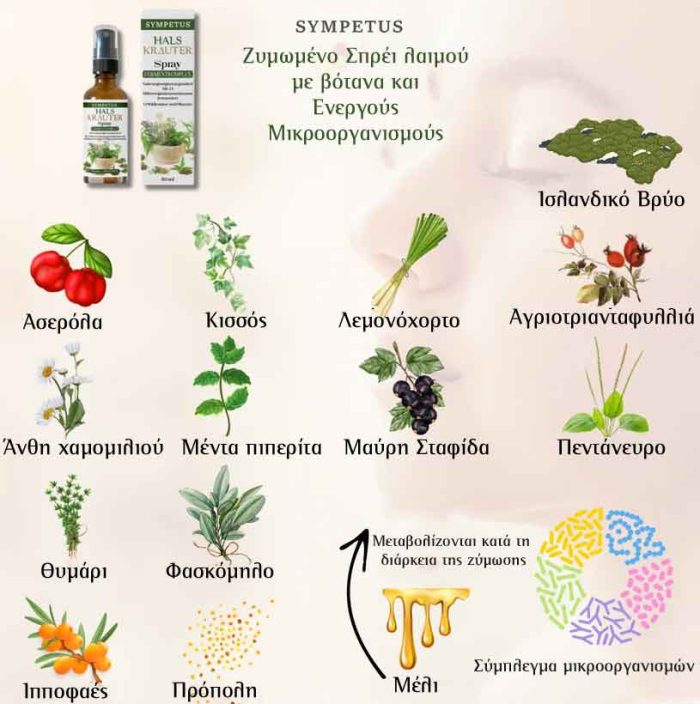 Sympetus Βιολογικό Σπρέι Λαιμού με Ζυμωμένα Βότανα και μικροοργανισμούς– 50 ml - Image 2