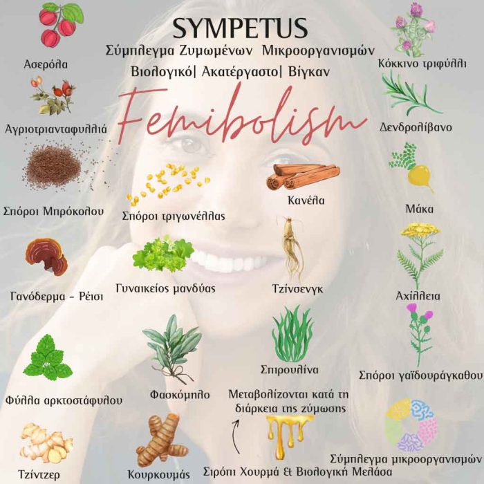 Sympetus Femibolism Πρε/προβιοτικό για το ορμονικό σύστημα της γυναίκας 500ml - Image 3