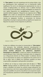 Έλαιο Δράκος Πωρία - - Image 5